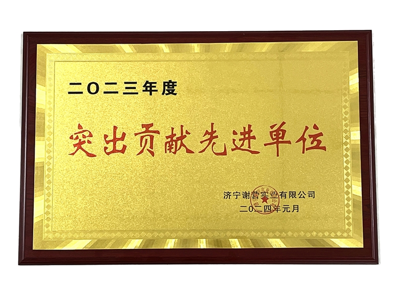 热烈祝贺华矿集团荣获“突出贡献先进单位”荣誉称号